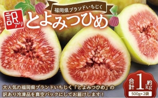 訳あり冷凍いちじく「とよみつひめ」1kg