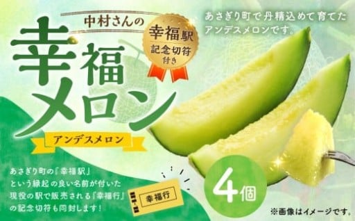 中村さんの幸福メロン（アンデスメロン）4個