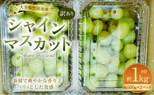 【数量限定】粒パック 訳あり シャインマスカット 約1kg （2パック） 