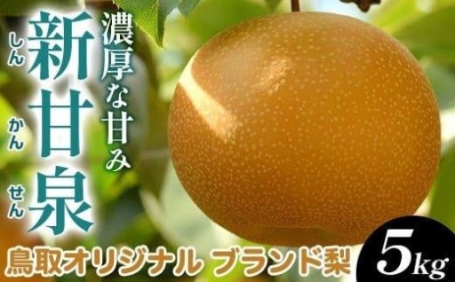 【先行予約】新甘泉 5kg前後（5～18玉前後）