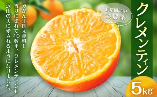 クレメンティン 5kg 【栽培期間中 減農薬】 