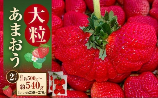 大粒あまおう 約250～270g × 2パック （計500～540g）