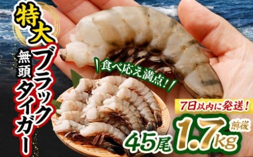 特大 ブラックタイガー 無頭えび 1.7kg前後（45尾 ）【入金確認後7営業日程度で発送】