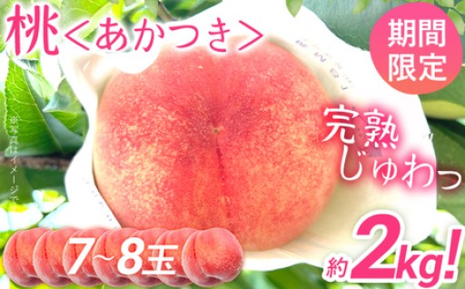 【先行予約】🍑期間限定🍑桃 あかつき 約2kg