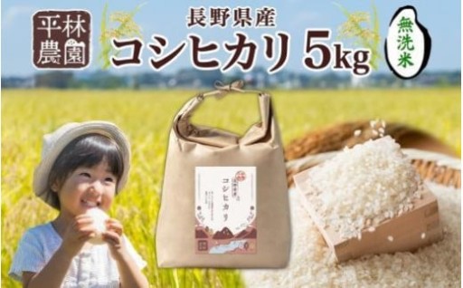 令和7年産 コシヒカリ 無洗米 5kg×1袋