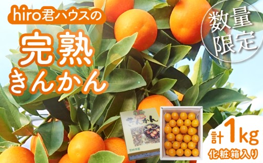 【宮崎県都農町】hiro君ハウスの『完熟きんかん(計1kg)』🍊