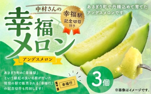 中村さんの幸福メロン（アンデスメロン） 3個 