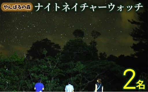 やんばるの森　ナイトネイチャーウォッチ　2名様