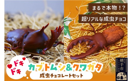 童心くすぐるロマン＆チョコ♡