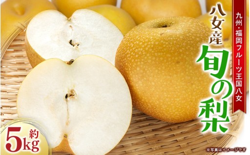 【2026年9月～10月上旬発送予定】九州福岡フルーツ王国八女 旬の梨 約5kg