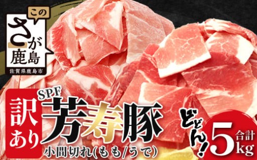 訳あり 芳寿豚 小間切れ 満足セット合計5kg
