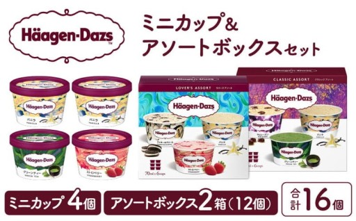  アソート＆ミニカップ豪華バラエティセット✨