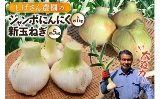 平戸産のジャンボにんにくとタマネギをお届け