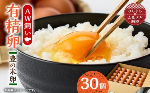 🥚✨🥚大分生まれのAW飼い有精卵「豊の米卵」30個入り🥚✨🍳