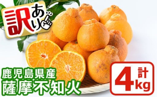 《訳あり》鹿児島県産！薩摩不知火(4kg) 