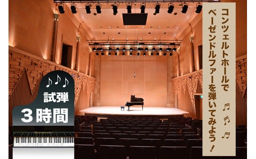 世界三大ピアノ「ベーゼンドルファー」試弾チケット