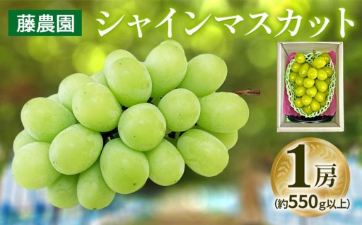 メロンの聖地が本気で作ったブドウの王様・シャインマスカット