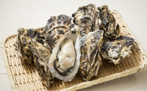 【海のミルク】仙鳳趾の濃厚クリーミー牡蠣