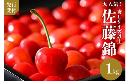 🍒【令和8年産】さくらんぼ「佐藤錦」１kgバラ詰🍒