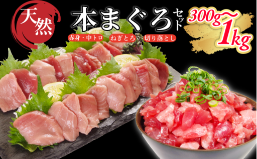 天然本マグロを100gの小分けでお届け！中とろ・赤身ミックスです♪