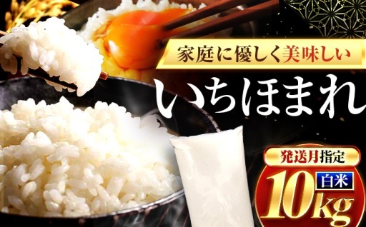 ＼福井のブランド米／【選べる発送月】福井県産 いちほまれ 10kg