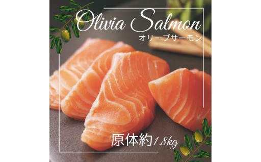 『オリーブサーモン』 をぜひお試しください！！
