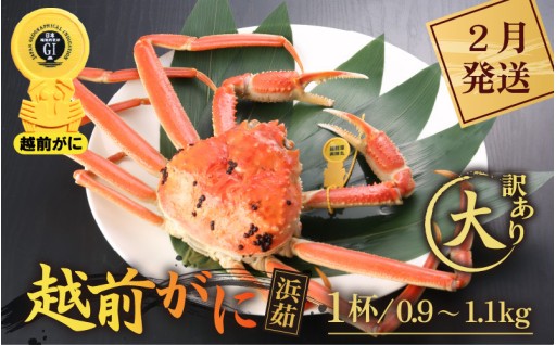 【訳あり】旨さそのまま！本場の越前町からお届け🦀