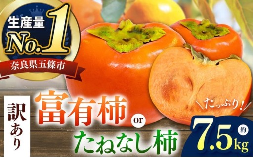 選べる 柿 2種！ 【家庭用】 たねなし柿 or 富有柿 約7.5kg