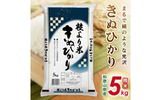 ✨御坊・日高地方産　粒より米　きぬひかり5kg🪄