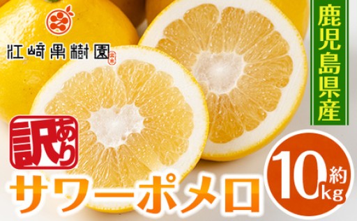 ＜2026年3月上旬～5月下旬の間に発送予定＞＜訳あり＞サワーポメロ(約10kg)