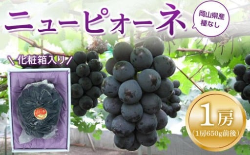 ぶどう 2026年 ニュー ピオーネ 1房（1房約600g前後）