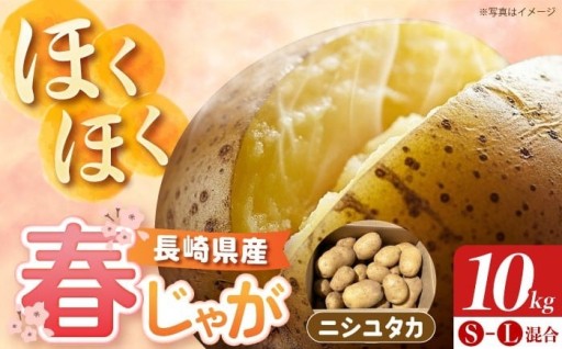 長崎雲仙産！春の味覚新じゃが「ニシユタカ」