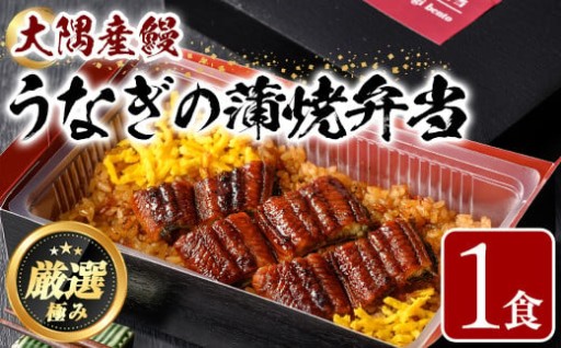 ＜おためし＞大隅産鰻の冷凍弁当(冷凍品)(1食分・計240g タレ、山椒付)