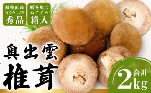 「奥出雲椎茸」秀品 箱入 2kg