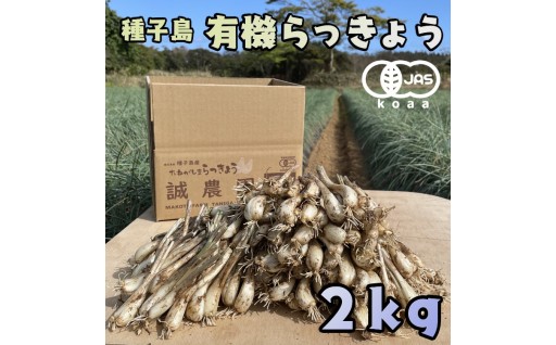 種子島産オーガニックらっきょう