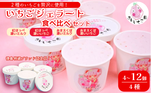 2種類のいちごを贅沢に使用にした濃厚なジェラートです