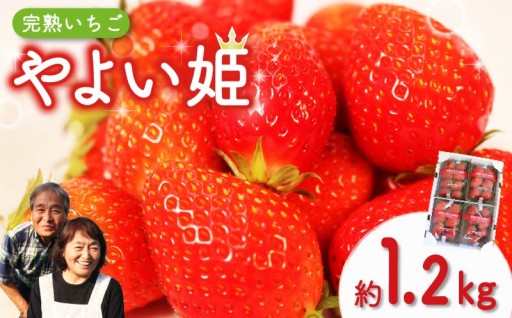 【藤枝市 いちごのご紹介】