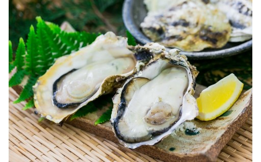 珍しい天然真牡蠣　予約受付中！！