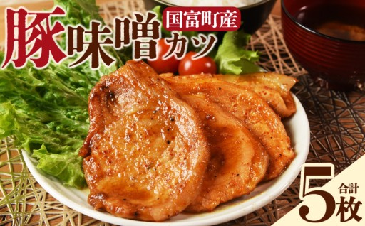＜国富町産 豚味噌カツ 5枚＞