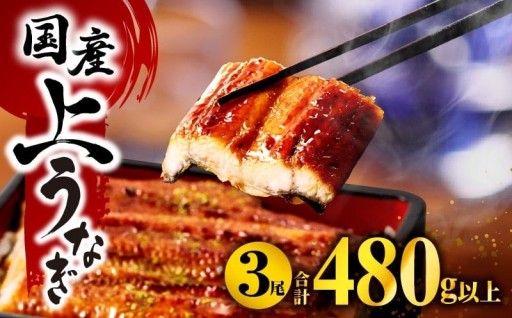 【宮崎県宮崎市】九州産 上うなぎ蒲焼3尾🔥