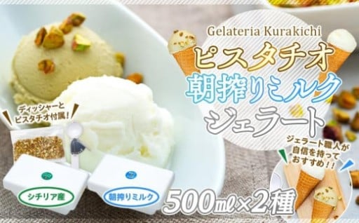 【数量限定】ジェラート 500ml×2種 食べ比べ シチリア産 ピスタチオ 朝搾りミルク