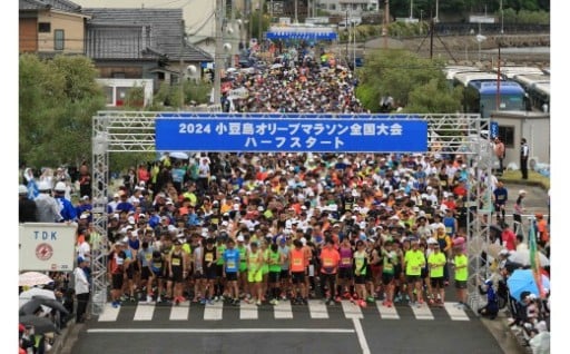 数量限定！第49回 小豆島オリーブマラソン全国大会 出走権 1名様分【10kmコース】（参加賞付き）