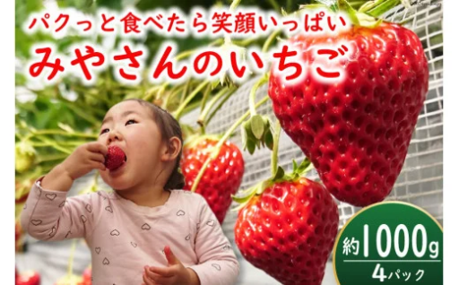 甘酸っぱくてジューシーなイチゴを産地直送でお届け