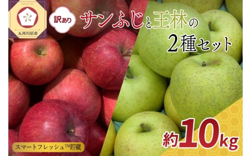 🍎りんご　【2026年4月上旬発送】 訳あり 10kg春のサンふじ王林🍏
