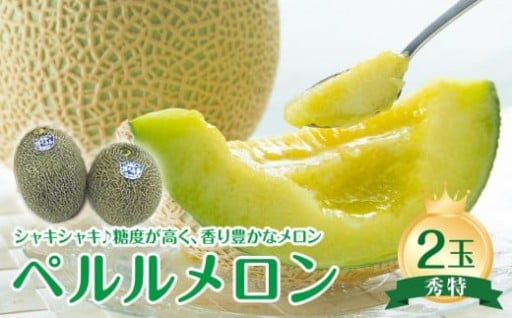 【先行予約】【JA】ペルルメロン 秀特×2玉 ※離島への配送不可