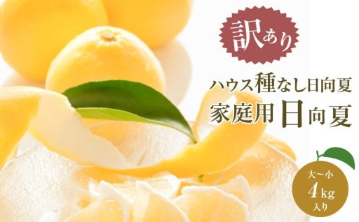 【宮崎県宮崎市】【訳あり】ハウス種無し日向夏🍊