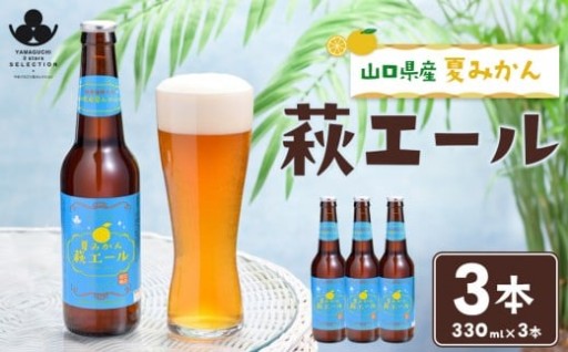 やまぐち三ツ星セレクション 夏みかん萩エール 3本セット