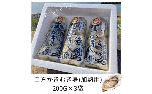 多度津町産 白方かき むき身！ぜひお試しください