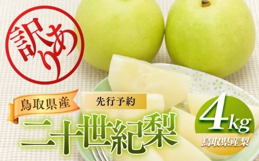 【訳あり】二十世紀梨 4kg（梨）※8月下旬頃～9月下旬頃に順次発送