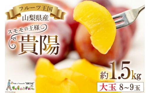 貴陽 (大玉) 約1.5kg (8～9玉)